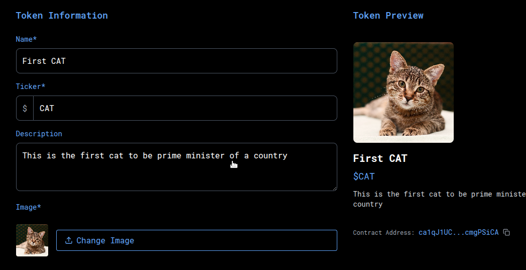 Token configuration form